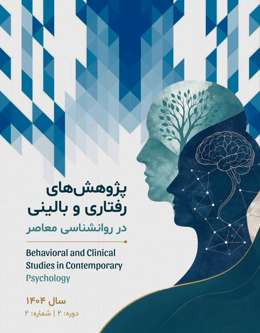جلد نشریه